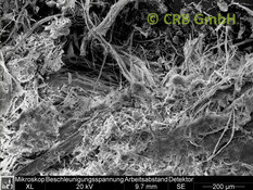 REM image of chrysotile asbestos in kinetic sand | © CRB Analyse Service GmbH